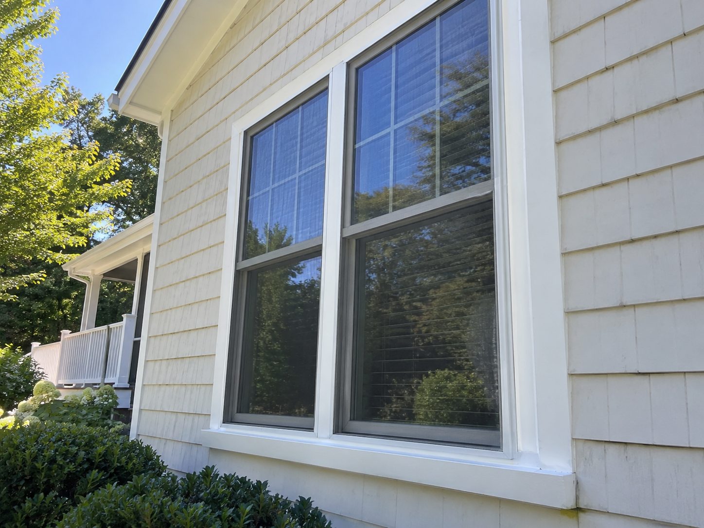 Double-hung window with white trim on a beige shingle house reflecting green trees.