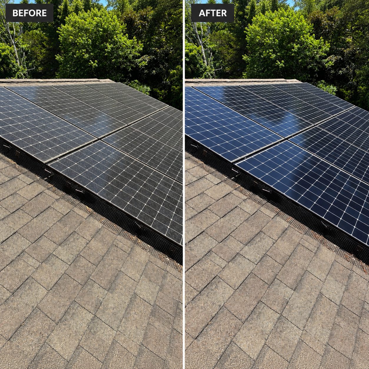 Side-by-side comparison of dusty solar panels before cleaning and shiny, clean solar panels after.